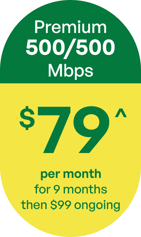 Premium plan - 500/500Mbps $89 per month for 12 months, then $119 ongoing