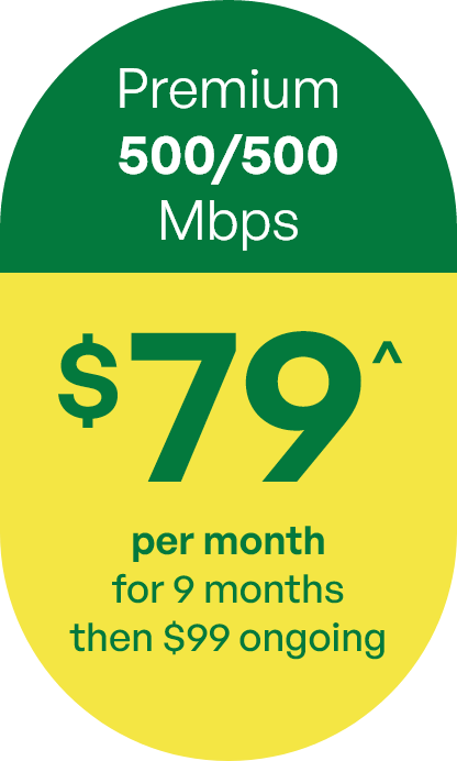 Premium plan - 500/500Mbps $89 per month for 12 months, then $119 ongoing